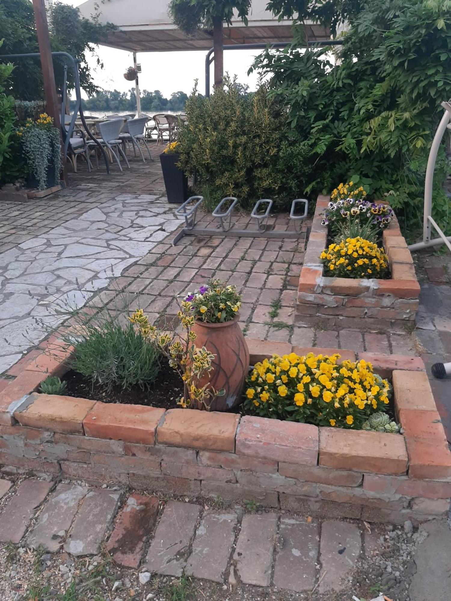 River Hostel Belgrád Kültér fotó